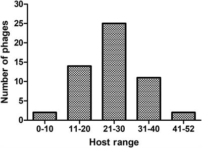 Isolation and Characterization of Novel Lytic Bacteriophages Infecting Epidemic Carbapenem-Resistant Klebsiella pneumoniae Strains